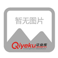 塑料打火機、金屬打火機、廣告打火機、磨砂打火機(圖)